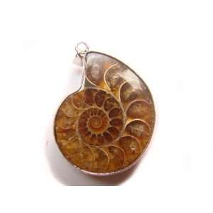  PE0383 Madagascar Ammonite Fossil Crystal Pendant Jewelry