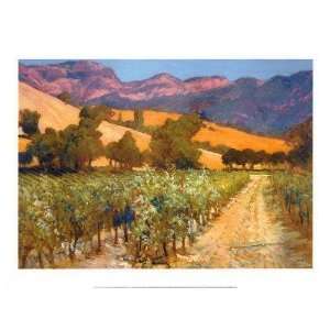 Philip Craig   Wine Country Canvas