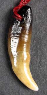 REAL BLESSED MANED WOLF TOOTH FANG Amulet JADE BEADS  