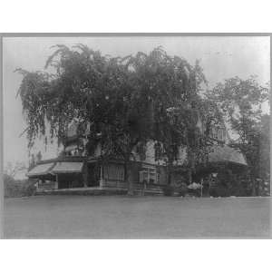   Theodore,home,exterior,New York,Oyster Bay,c1912