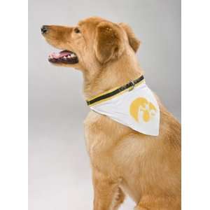  Iowa Hawkeyes Dog Collar Bandana: Sports & Outdoors