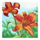 CCWT Day Lily Flower Ceramic Wall Art Tile 8x8