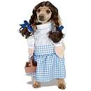   Costume   The Wizard of Oz Dorothy (Large)   Buyseasons   