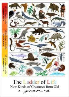     Ladder of Life   2011 NEW RELEASE Big Golden Book of Bio  