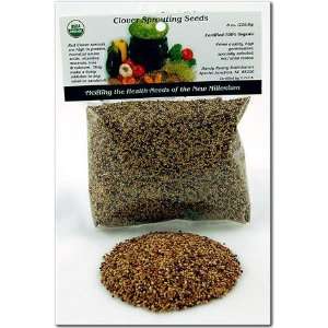   Clover Sprouting Seeds For Sprouts   Sprout Seed   8 Oz Home