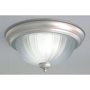   Nickel Energy Efficient Ceiling Energy Efficient Traditional / Cl