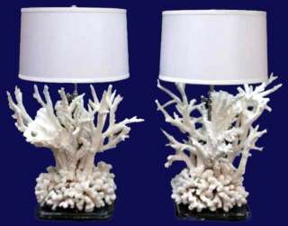 Seashell Coastal Decor Beach Genuine Coral Lamp  