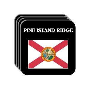 US State Flag   PINE ISLAND RIDGE, Florida (FL) Set of 4 Mini Mousepad 