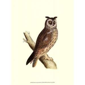  Morris Long Eared Owl   Poster by Tom Morris (9.5x13 