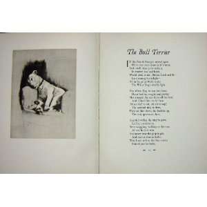  1933 Bull Terrier Dog Pet Animal Poem Cecil Aldin