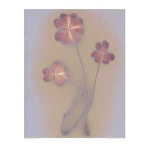  Four Leafed Clover Poster Print