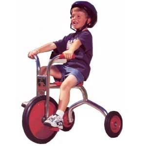  Angeles Silver Rider 14 Trike: Sports & Outdoors