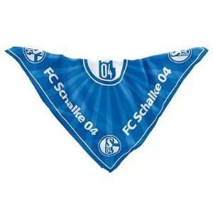 FC Schalke 04 Halstuch Strahlen Fanartikel  Sport 