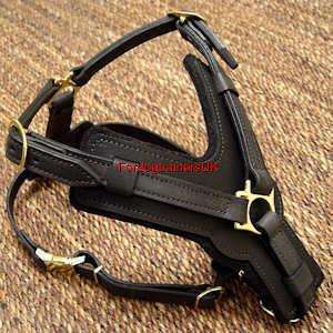 Best Handcrafted Leather Harness H10 for Bull Mastiff  