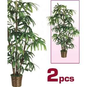 Rhapis X5 Silk Palm Tree w/Wicker Basket (case of 2)  