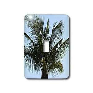 Florene Trees   Lovely Palm Tree   Light Switch Covers   single toggle 