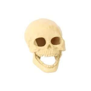  Design Elements Laughing Skull Aquarium Ornament Sm 6.5in 