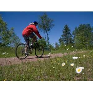 Man Rides Along a Bike Trail on a Summer Day, Charlottetown, Prince 
