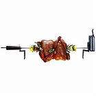 NIB Char Broil Deluxe Electric Rotisserie Motor Complet
