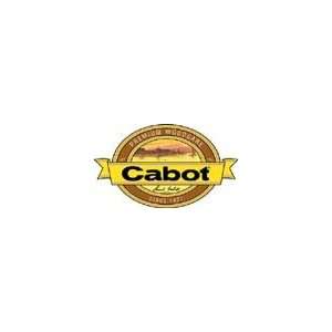  CABOT STAIN 19202 CEDAR WOOD TONED DECK & SIDING STAIN OIL 