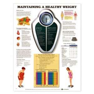 Maintaining a Healthy Weight Anatomical Chart Unmounted 9779PU  