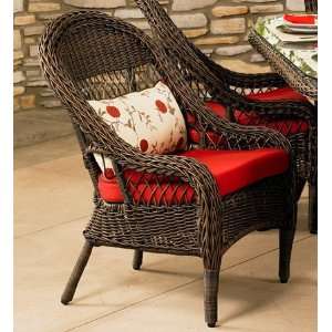   Brookwood Deep Seating Resin Wicker Dining Chair: Patio, Lawn & Garden