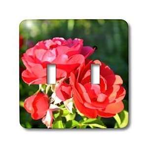 Patricia Sanders Flowers   Summer Red Roses Floral III   Light Switch 