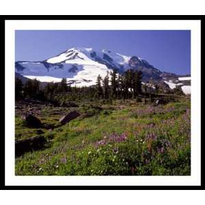  Bird Creek Meadows   Mount Adams, Washington, 16 x 13.3 
