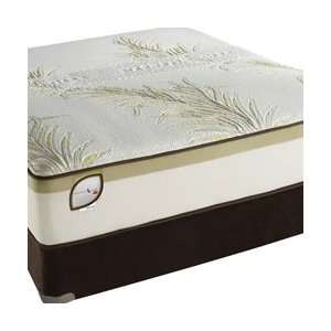   Care Philosophy Deluxe Plush Twin Extra Long Mattress