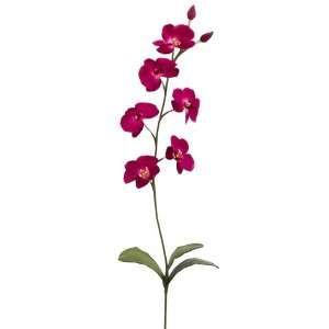  31 Silk Phalaenopsis Orchid Plant Flower Spray  Fuchsia 