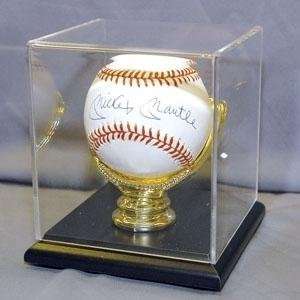 Baseball Display Case   Gold Glove: Sports & Outdoors
