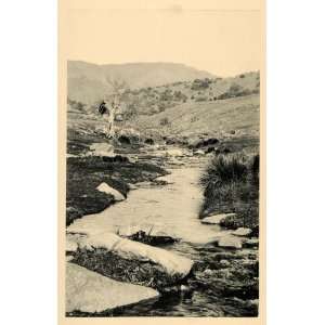  1887 Santa Isabel Creek San Diego County CA Landscape 