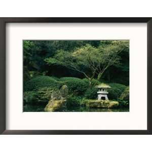  A Japanese Garden with Japanese Maple Trees Collections 