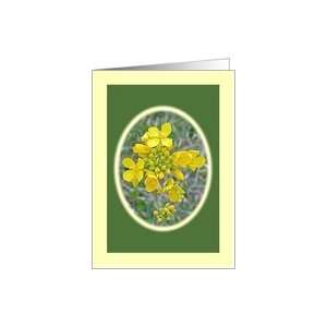  Wild Mustard Plant Blossoms Note Card Card Health 
