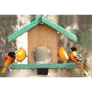  Songbird Essentials Oriole Feeder Cedar SE561 Patio, Lawn 