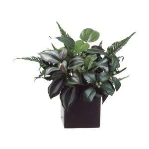  New   Pack of 4 Artificial Potted Fern/Wandering Jew 