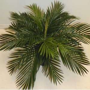 Silk Phoenix Palm Floor Plant 